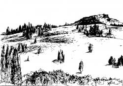 Drawing of a hilly landscape with some trees dotting it
