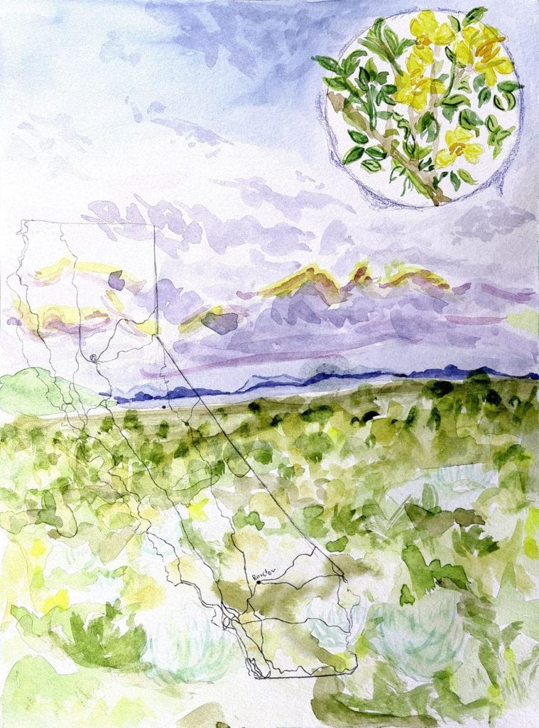 Watercolor painting with yellow flowers in a field of green